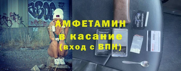 сатива Верея