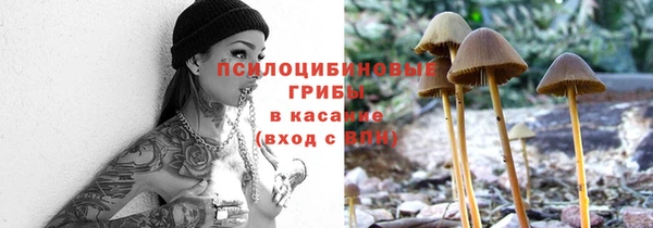 амф Усмань