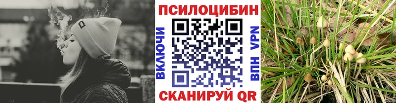 Псилоцибиновые грибы Psilocybine cubensis  даркнет как зайти  Десногорск 